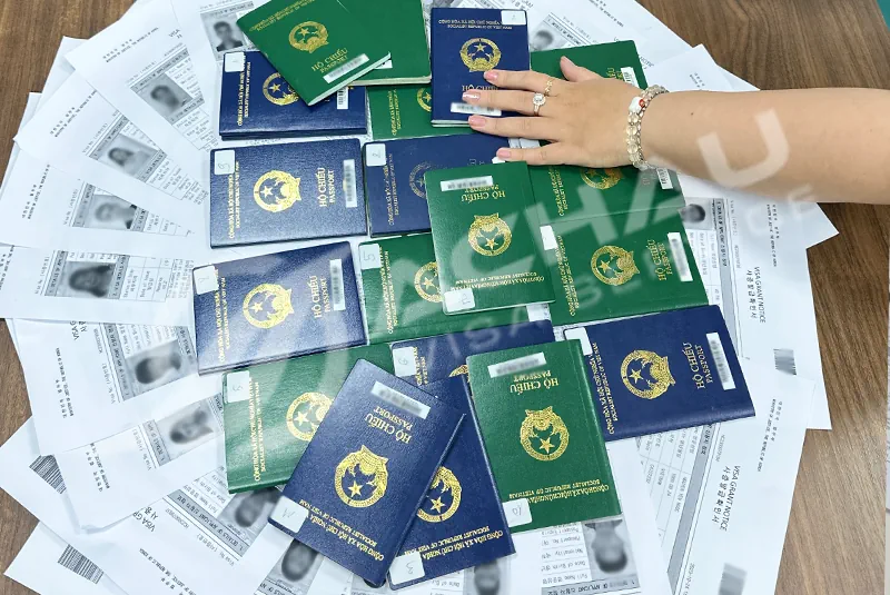 Visa H-1 Hàn Quốc