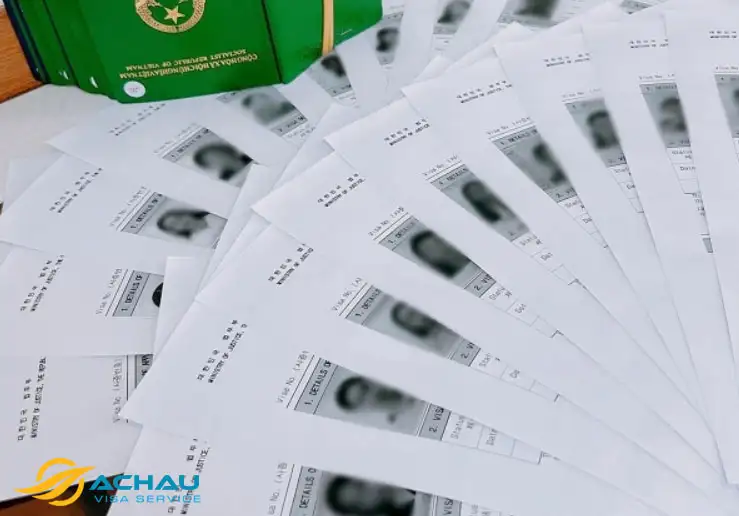 Visa D1 Hàn Quốc 2024: Quy trình, thủ tục mới nhất.