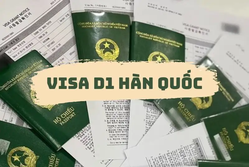 Visa D1 Hàn Quốc 2024: Quy trình, thủ tục mới nhất.